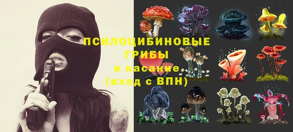 хмурый Вязники